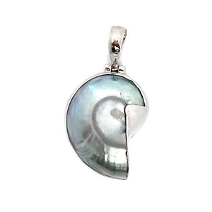 Nautilus Mother of Pearl Pendant